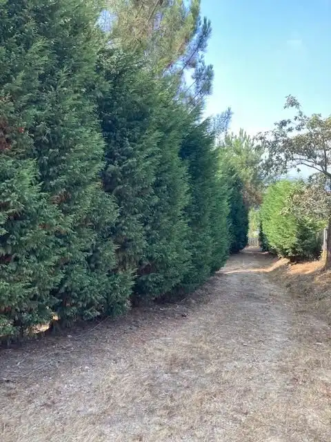 Vista exterior de Casa o xalet en venda en Carballo amb Terrassa i Forn