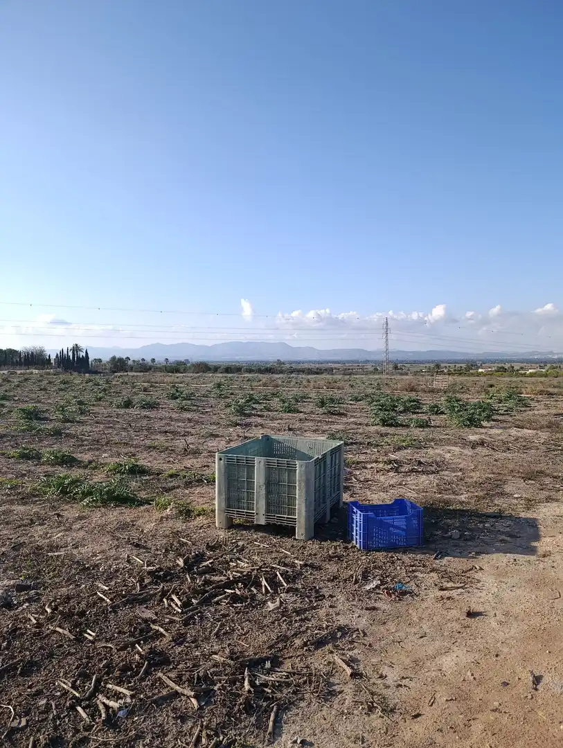 Terrain rustique à vendre à La Marina, imagen 14