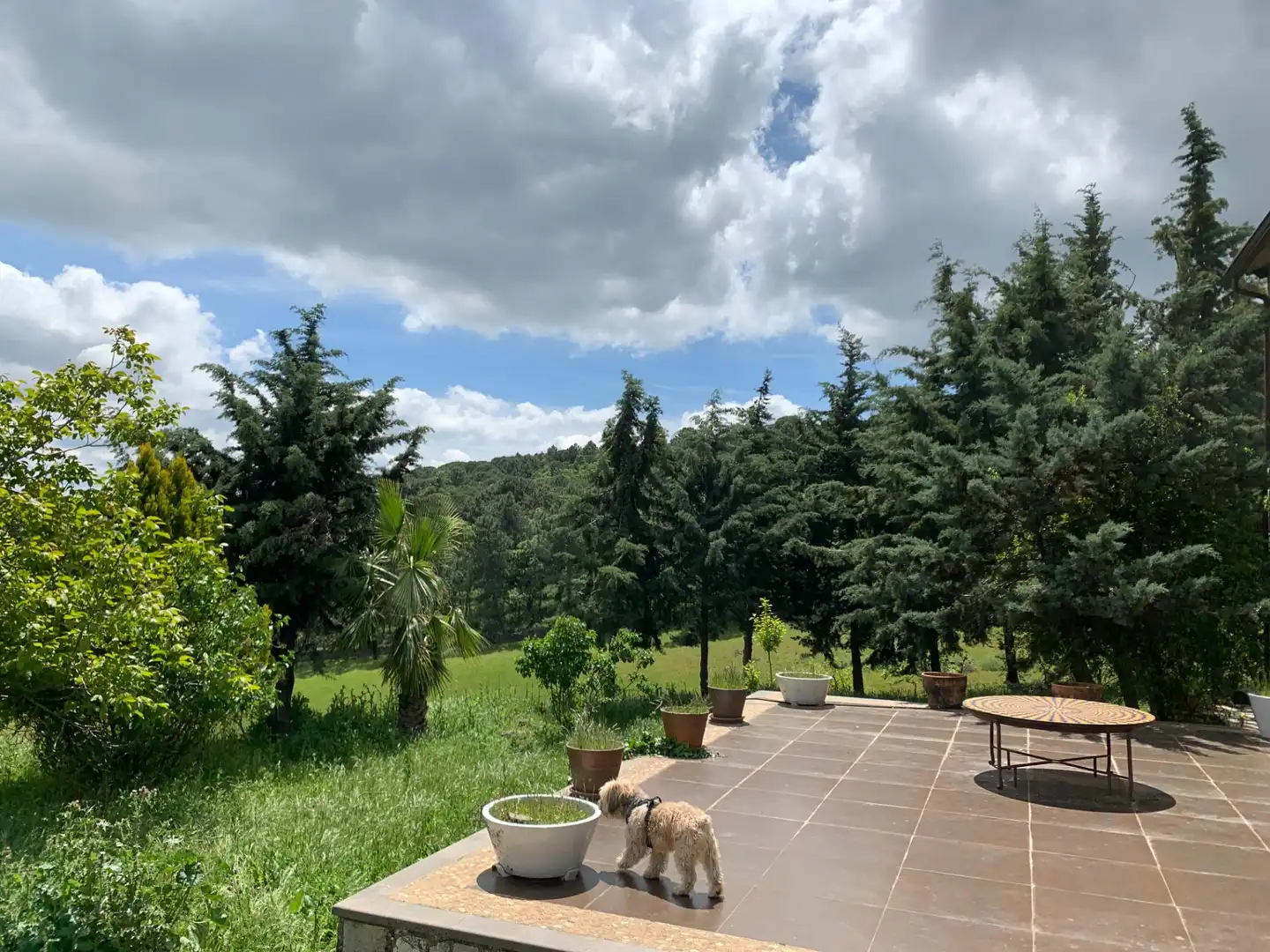 Jardín de Casa o chalet en venta en Calera de León con Jardín privado, Terraza y Amueblado