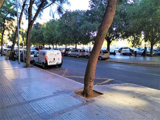 Local comercial en Venta en El Fortí