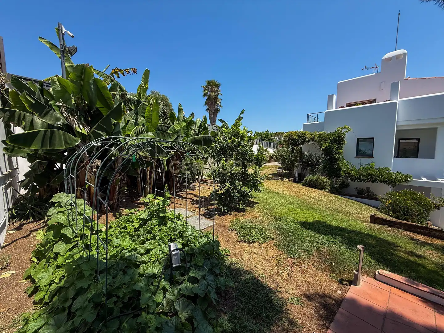Jardín de Casa o chalet en venta en Arenys de Mar con Jardín privado