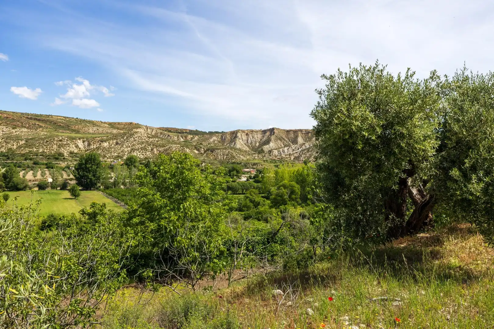 Maison rustique à vendre à La Peza, imagen 49