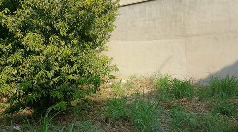 Foto 5 von Fabrik Grundstücke zum Verkauf in Calle Joan Rico, Beniarjó, Valencia