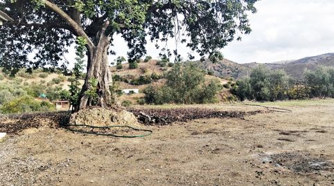 Foto 2 de Finca rústica en venta en Pizarra, Málaga