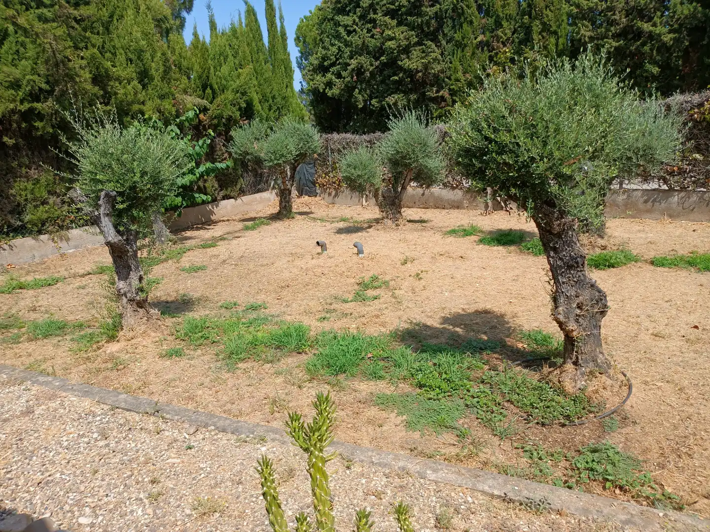 Villa zum Verkauf in Poniente-Norte - Miralbaida - Parque Azahara, imagen 21