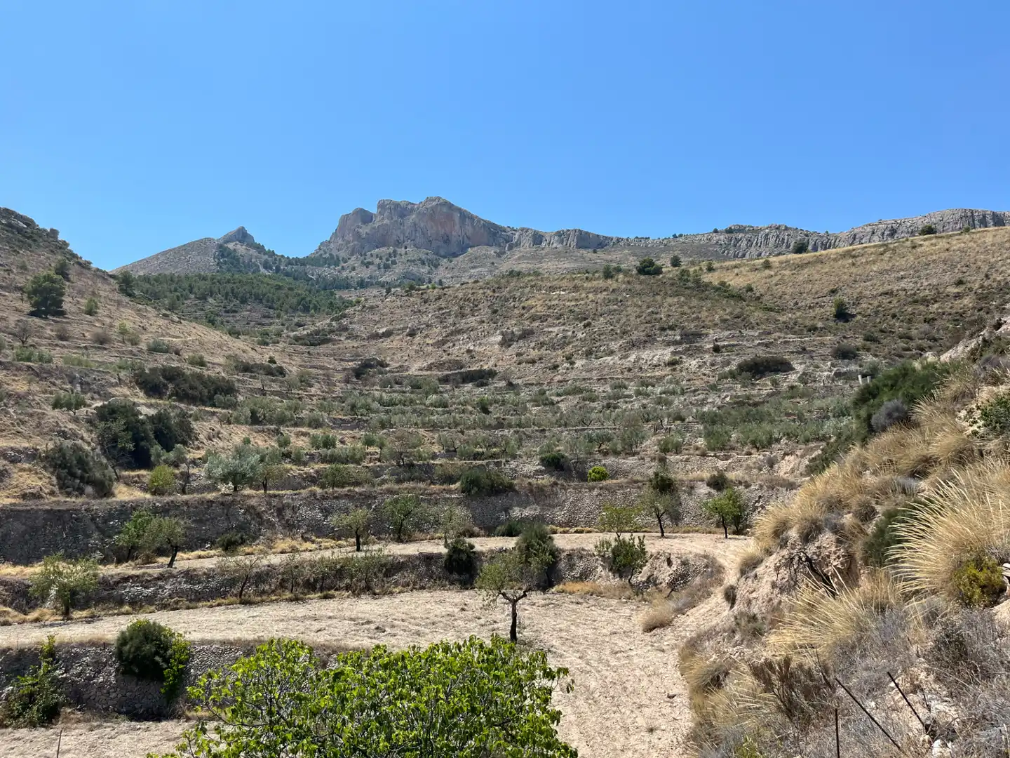 Casa o chalet en venta en Jijona / Xixona