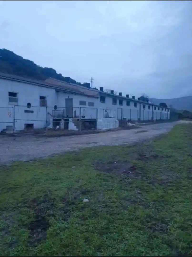 Exterior view of Industrial buildings for sale in Salinas de Oro / Jaitz