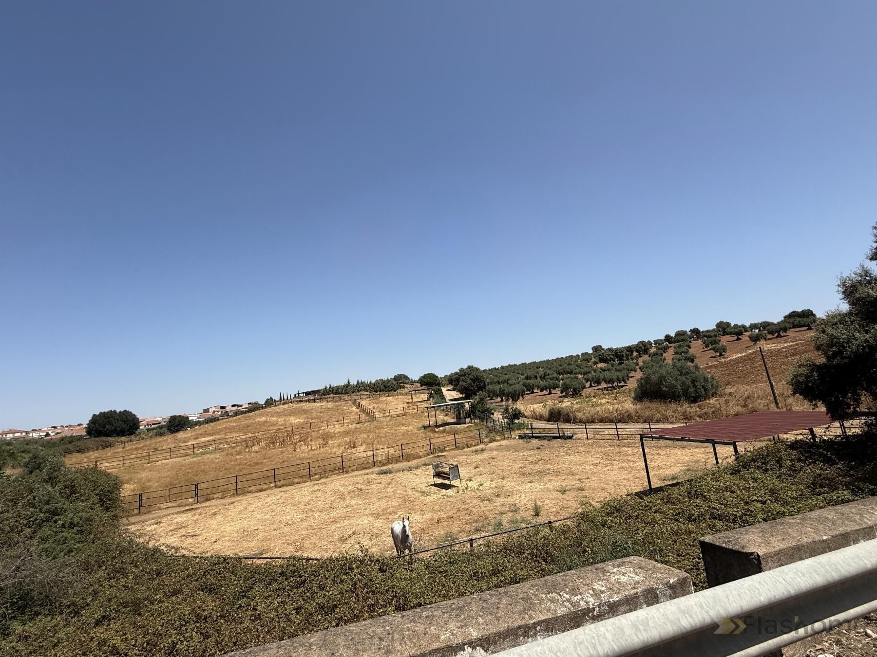 Finca rústica en venta en San Pedro de Mérida con Amueblado