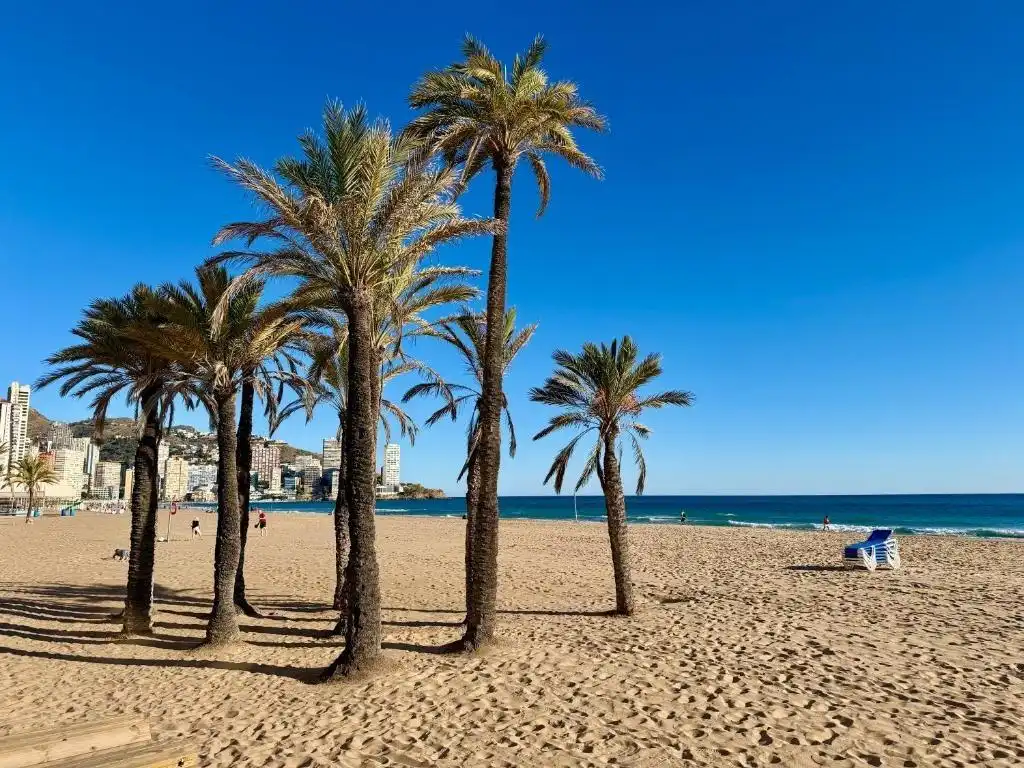 Vista exterior de Apartament en venda en Benidorm