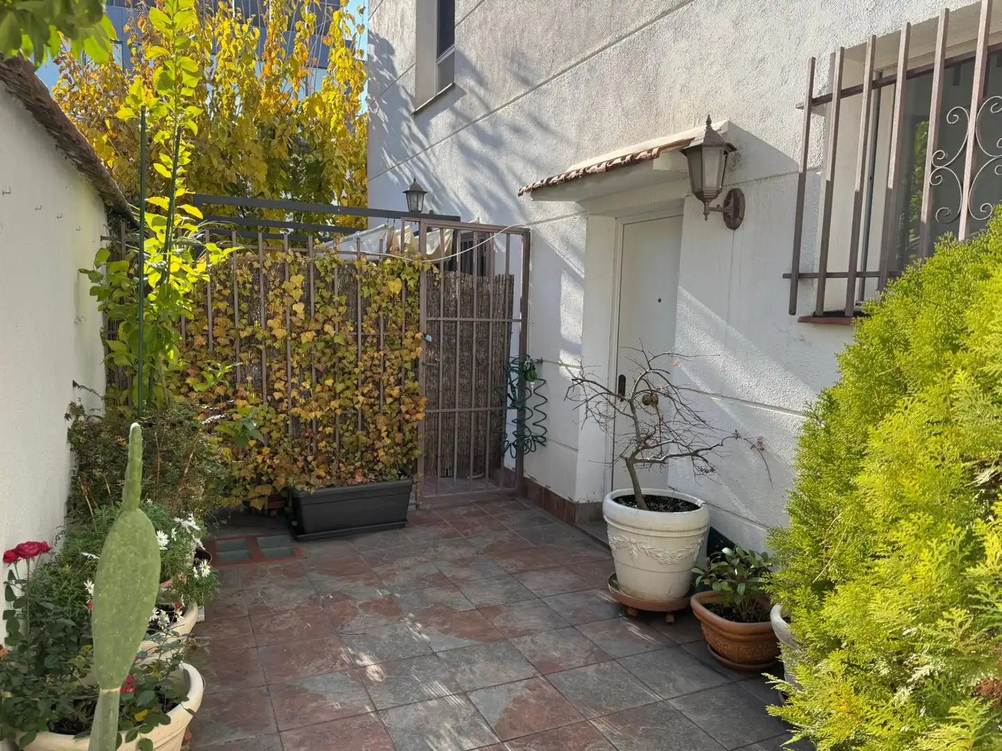 Jardín de Casa o chalet en venta en Madrid con Calefacción y Jardín privado