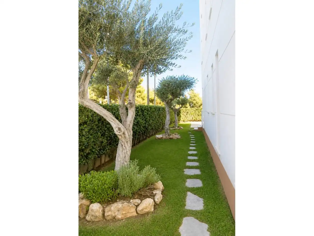 Flat with terrace for sale in Avenida maria cristina 1, imagen 9