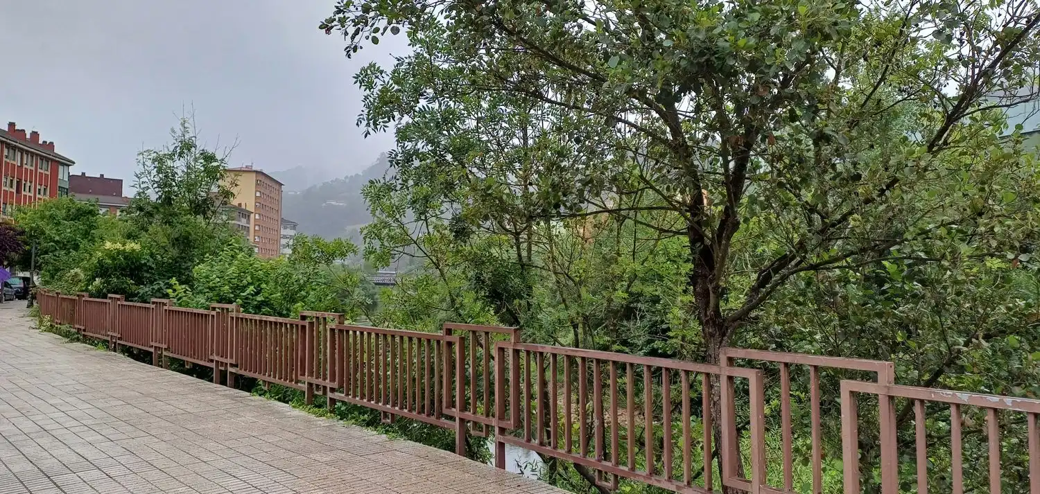Casa o xalet en venda a San Martín del Rey Aurelio