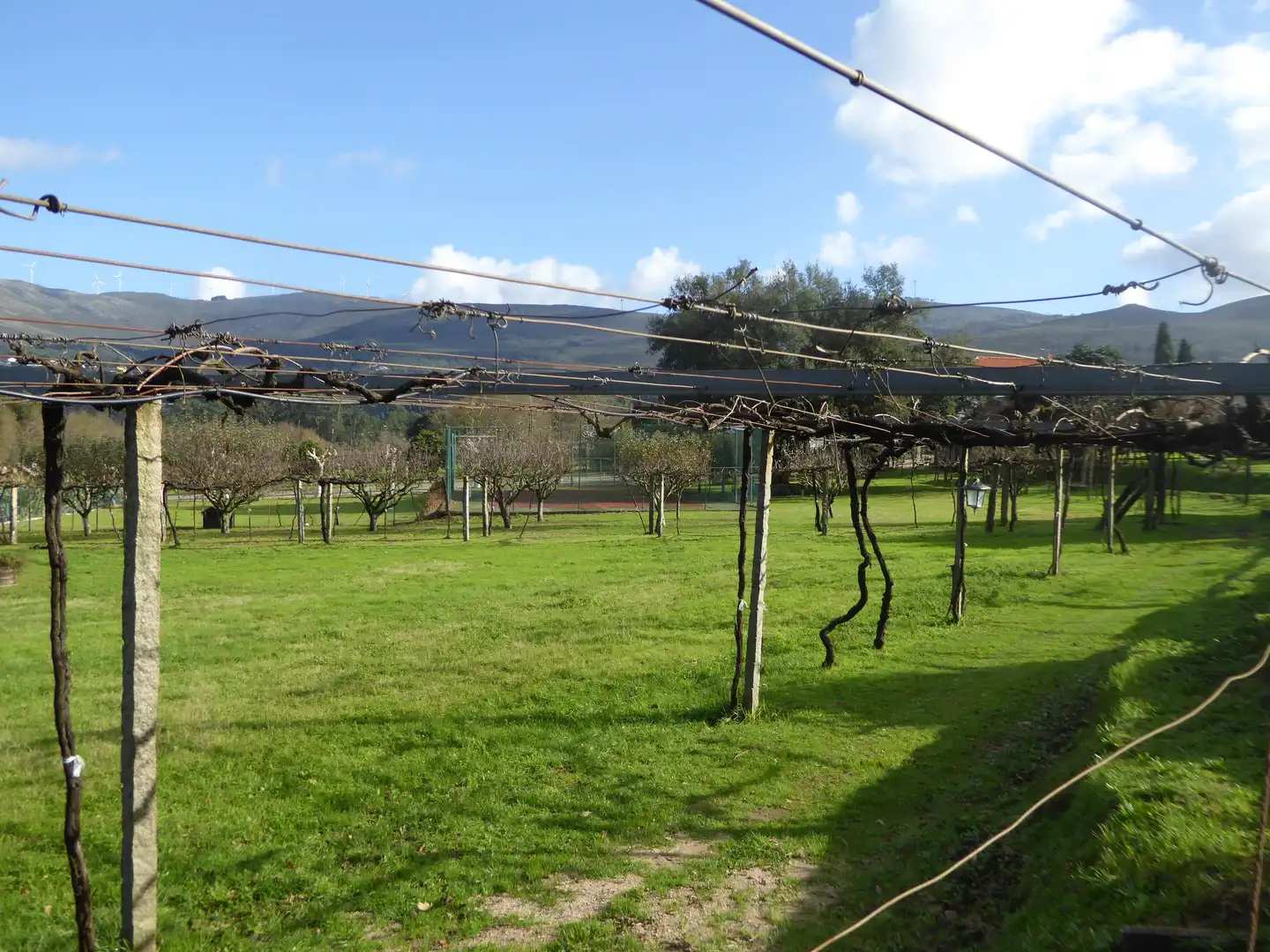 Garten von Country house zum Verkauf in Tui mit Klimaanlage, Heizung und Privatgarten