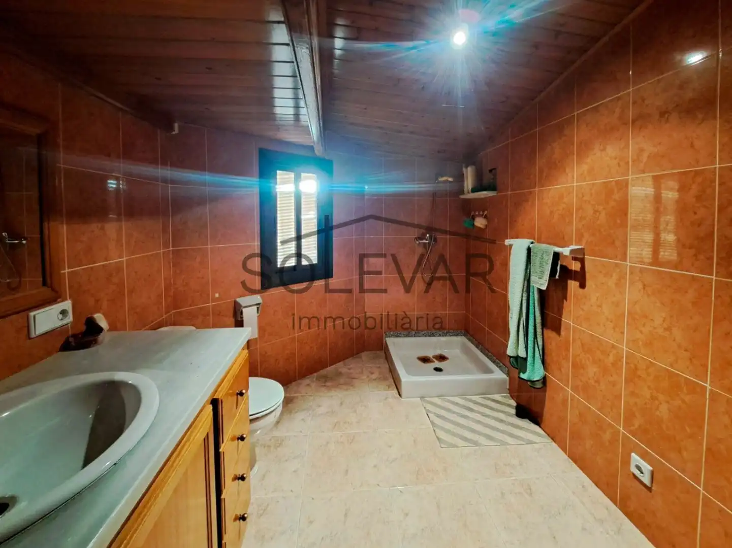 Bany de Casa o xalet en venda en Conca de Dalt amb Jardí privat, Terrassa i Traster