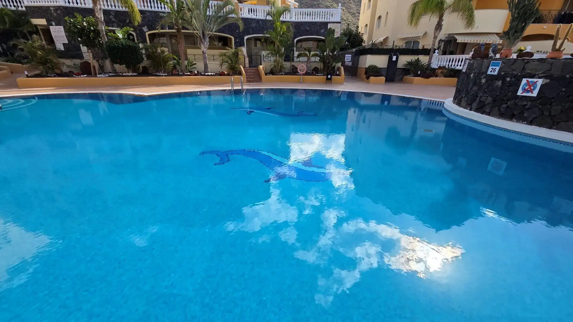Piscina de Dúplex en venda en Arona amb Terrassa i Piscina comunitària