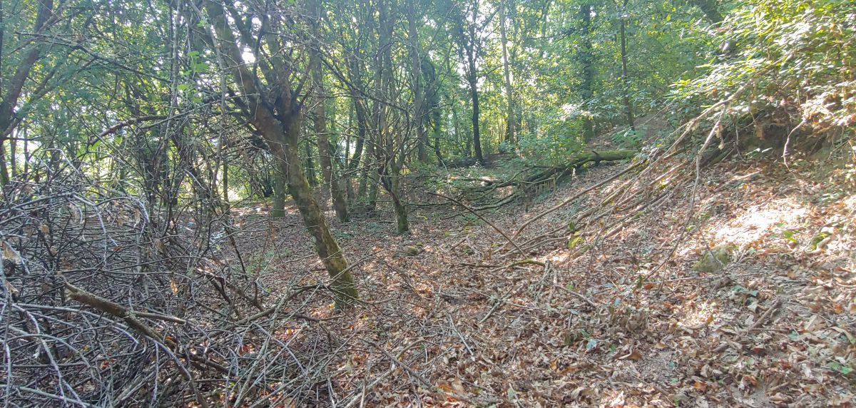 Finca rústica en venda en Crecente