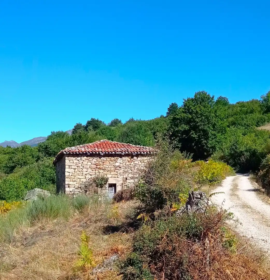 Vista exterior de Casa o chalet en venta en Polaciones con Jardín privado