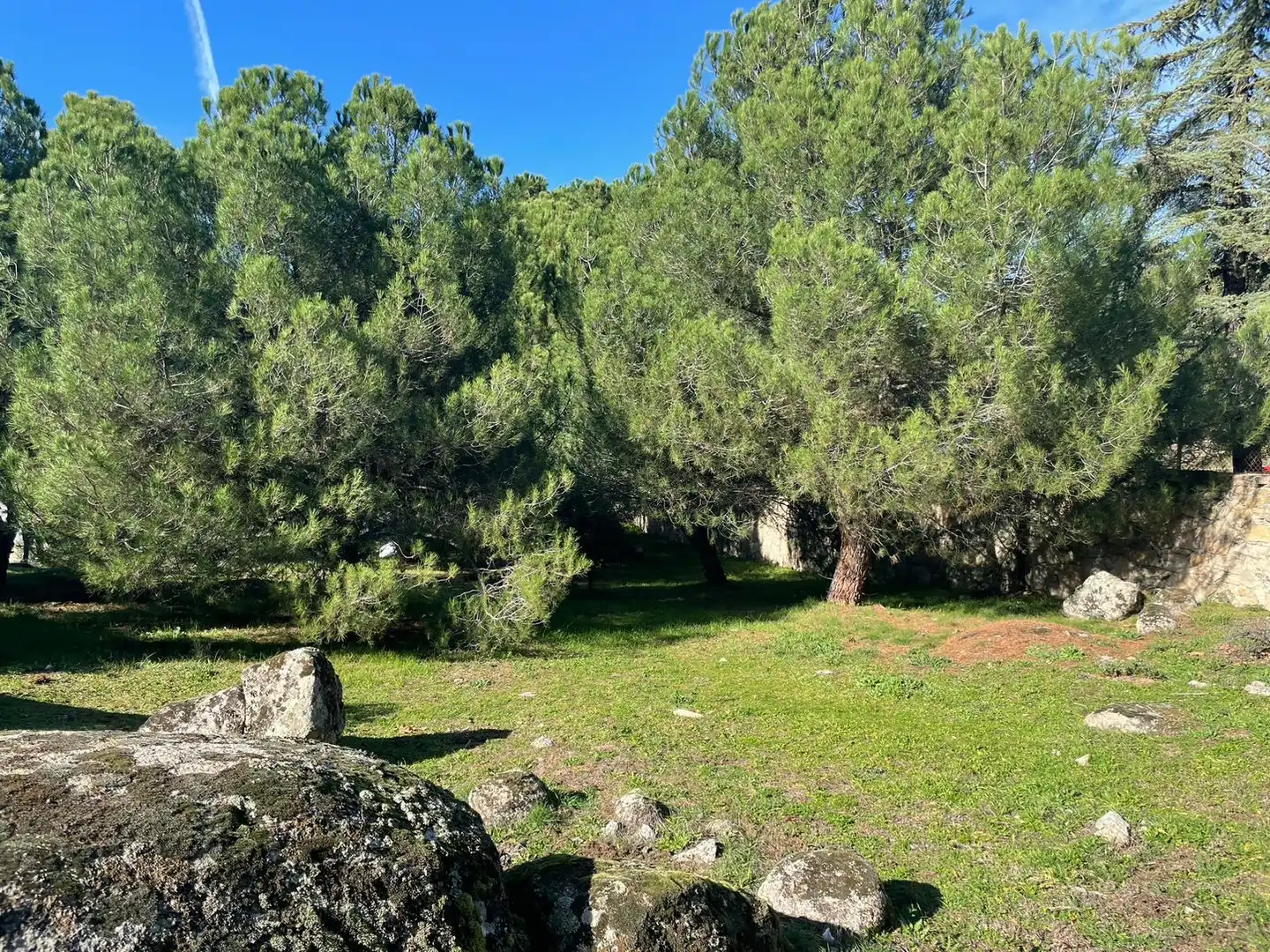 Residencial en venda a Avenida Sajonia, 4, Parquelagos - Puente Nuevo