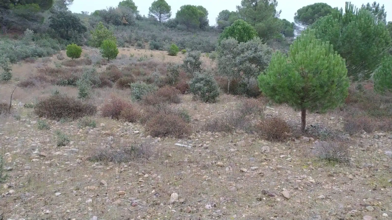 Terreny rústic en venda a Toro, imagen 2
