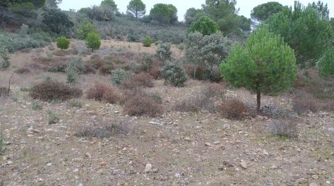 Imagen 2 del anuncio