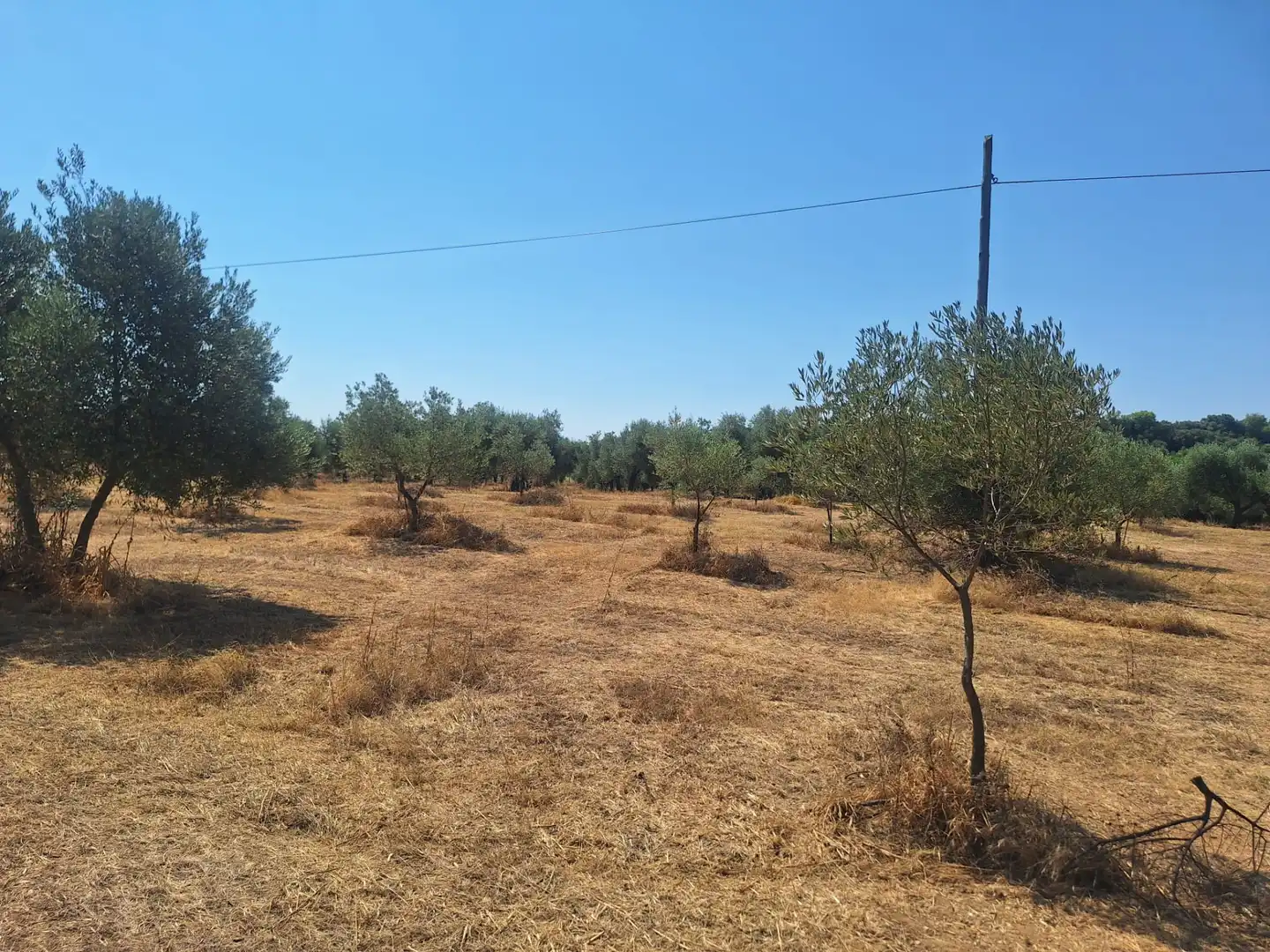 Land for sale in N/A, -1, Beas