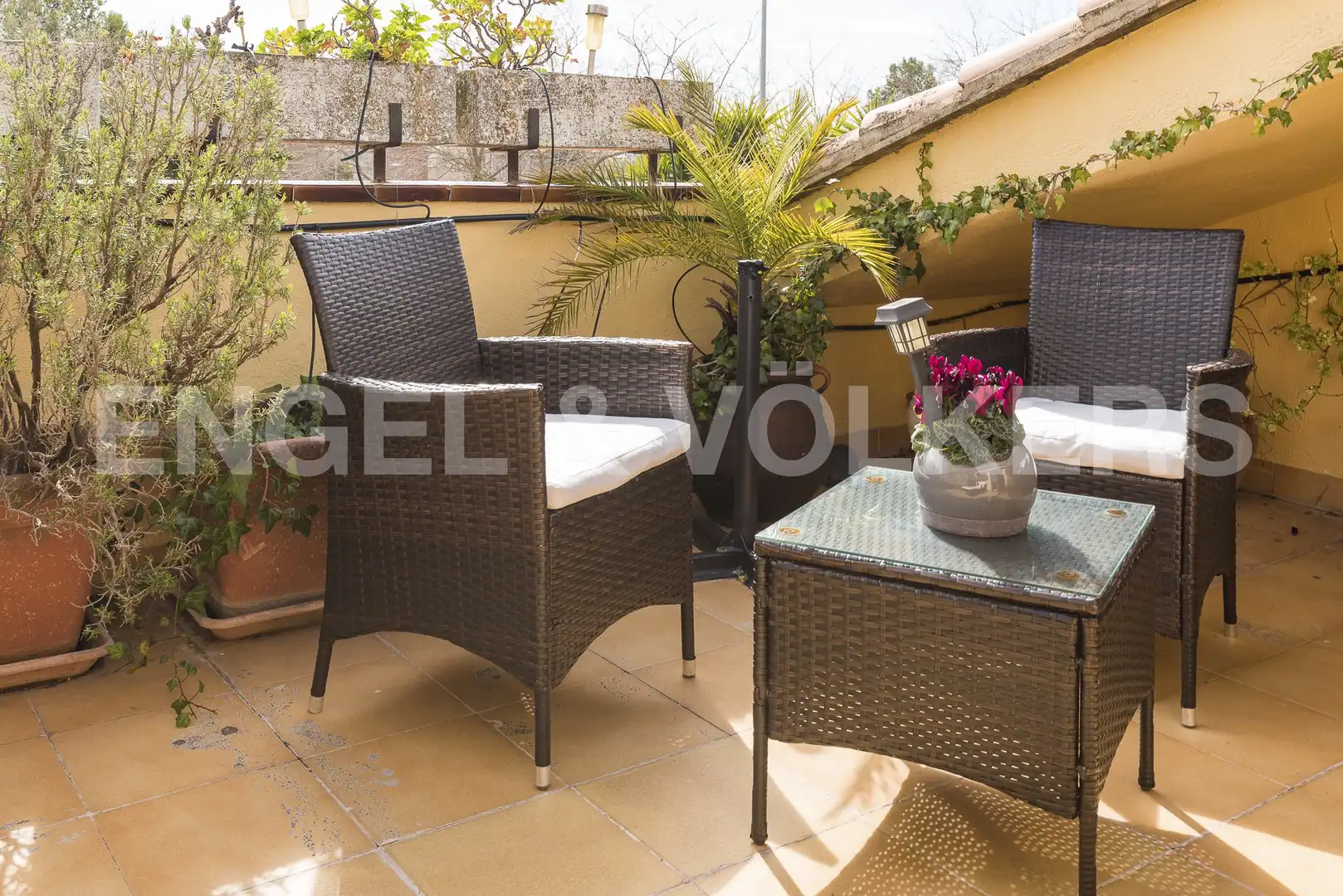 Terrassa de Casa o xalet en venda en Pacs del Penedès amb Calefacció, Jardí privat i Parquet