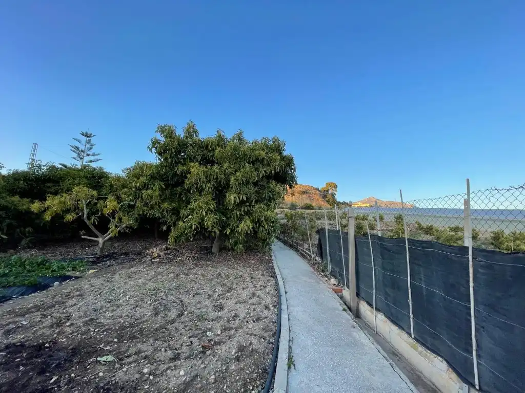 Finca rústica en venta en N/A, Avda Pescia - Ctra de Frigiliana