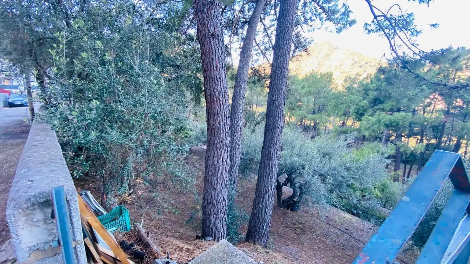 Jardín de Casa o chalet en venta en Eslida con Terraza y Trastero