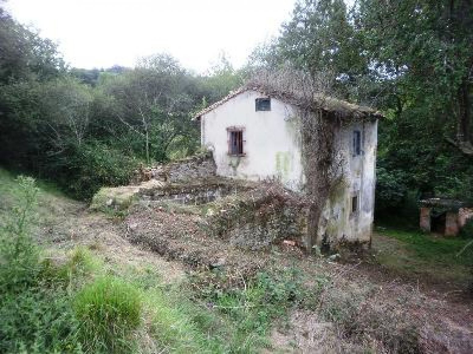 Exterior view of House or chalet for sale in Peñamellera Baja