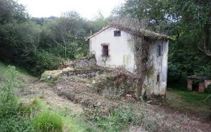 Vista exterior de Casa o xalet en venda en Peñamellera Baja