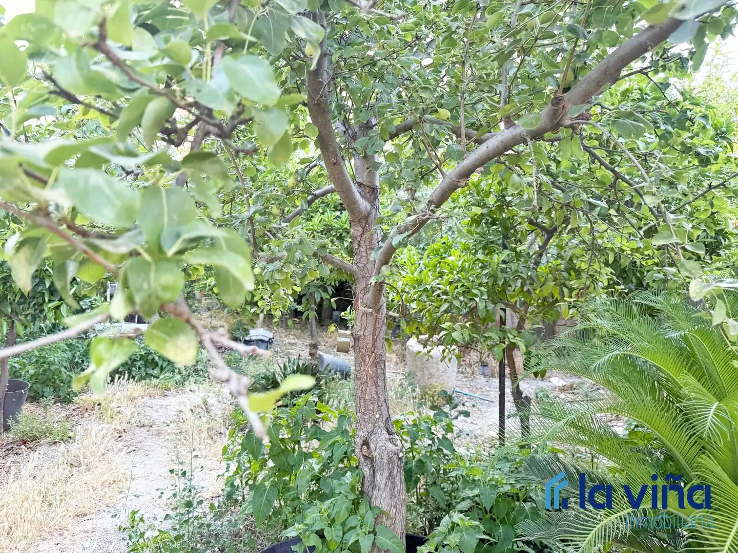 House for sale in Alameda, imagen 21