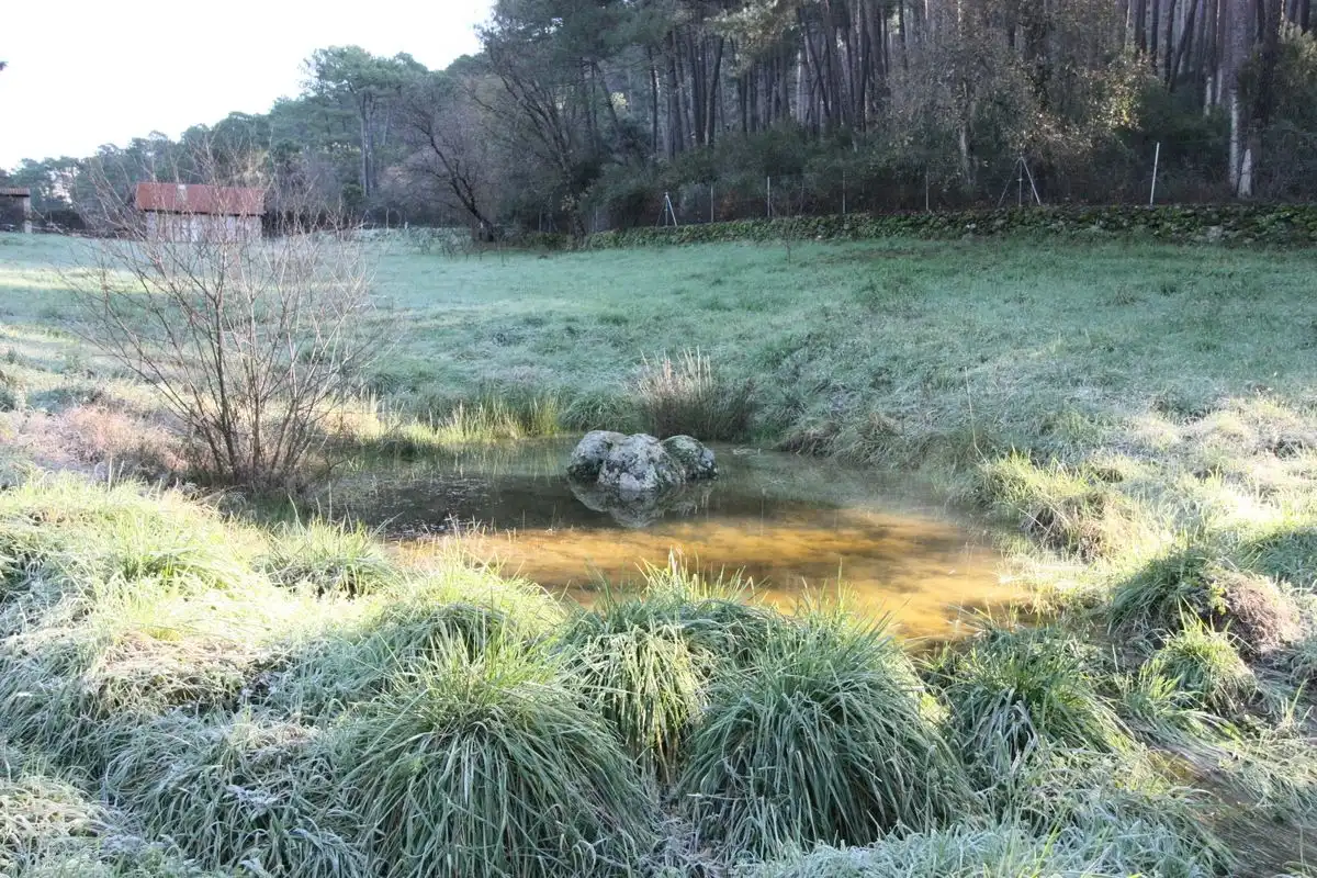 Jardí de Finca rústica en venda en Santa Cruz del Valle amb Internet