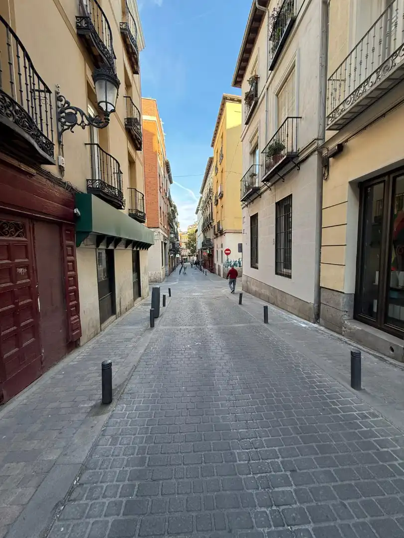 Gewerbefläche zum Verkauf in Calle de Santa María, imagen 22