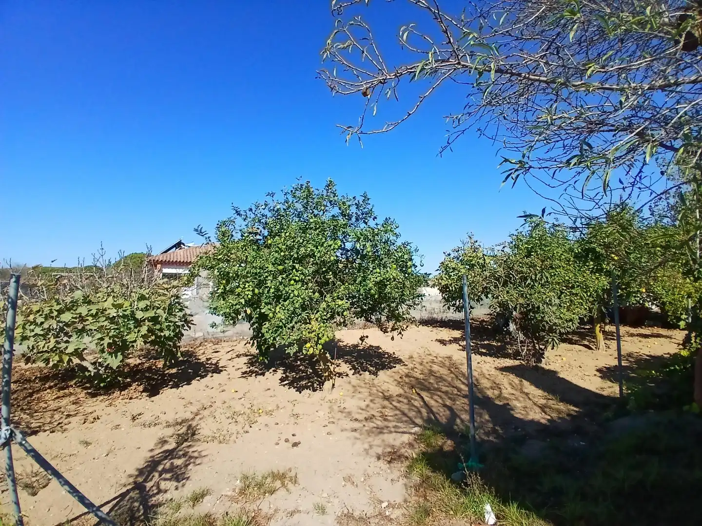 Casa o chalet en venta en Puerto Real con Piscina