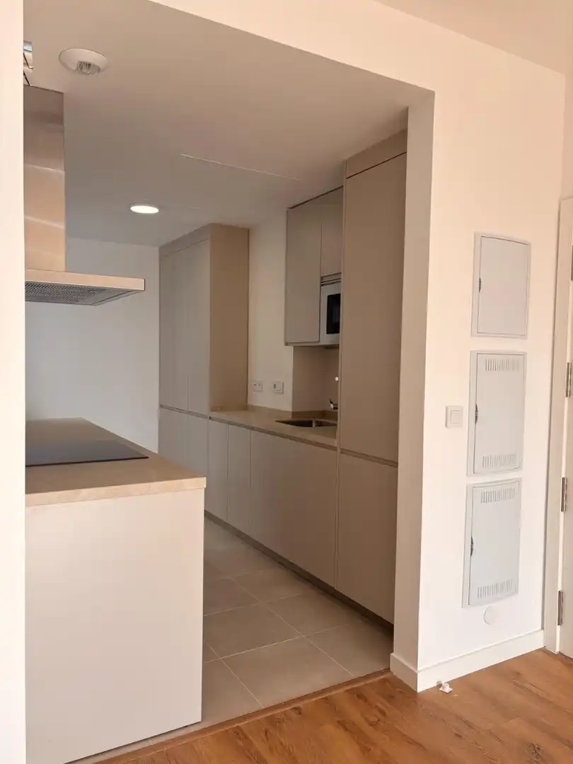 Flat with lift to rent in Avenida Avenida Ronda del Estero, imagen 15