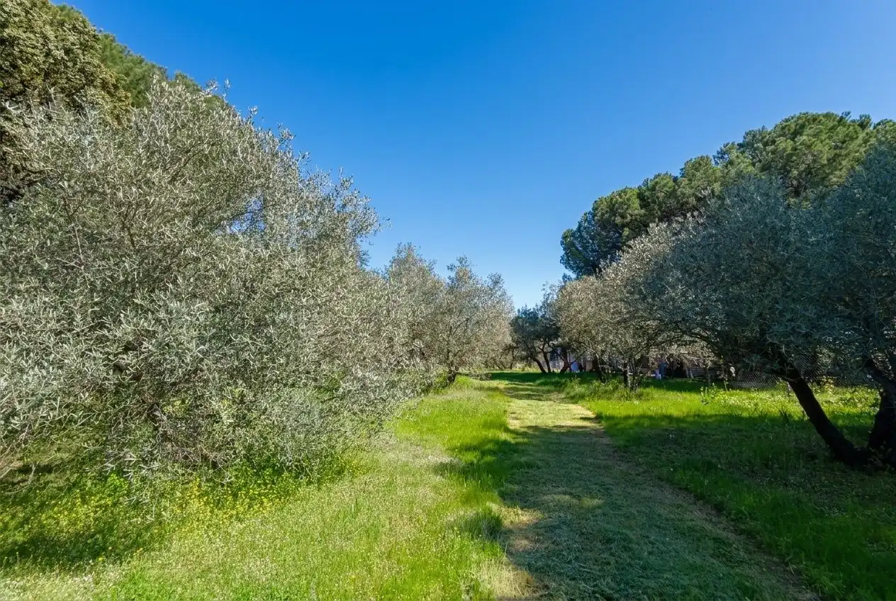 Finca rústica en venda en Andújar amb Jardí privat i Terrassa