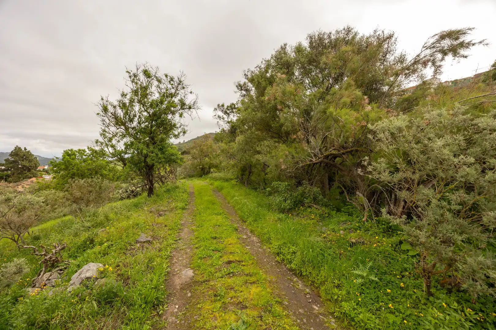 Country homes for sale in Santa Brígida  with Private garden and Terrace
