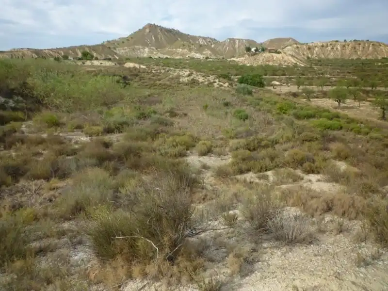 Casa o xalet en venda en Desamparados - Hurchillo - Torremendo