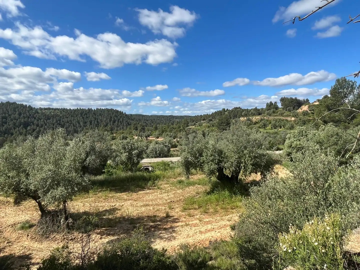 Terreni e lotti in vendita a La Fresneda