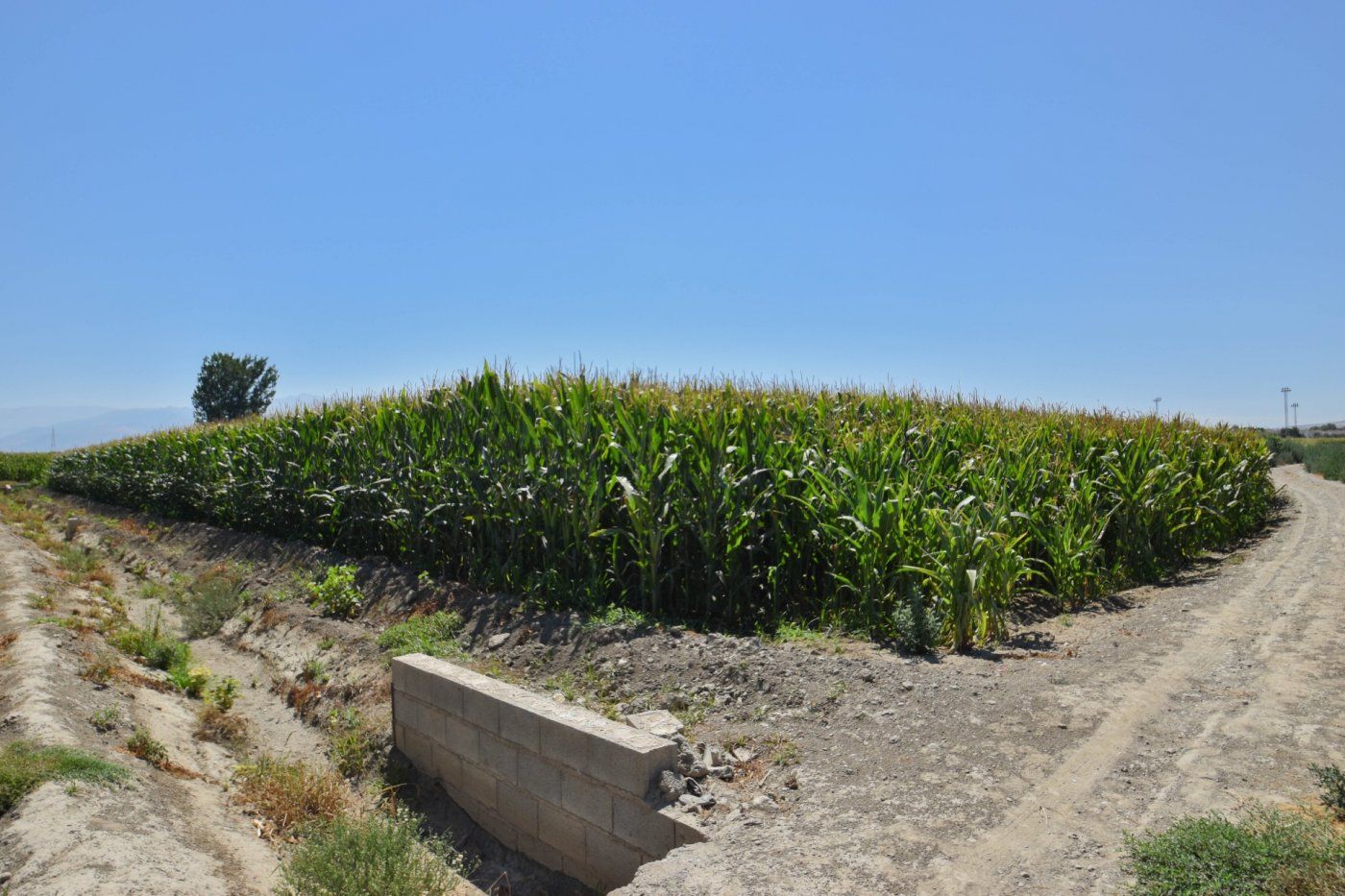 Country house for sale in Belicena