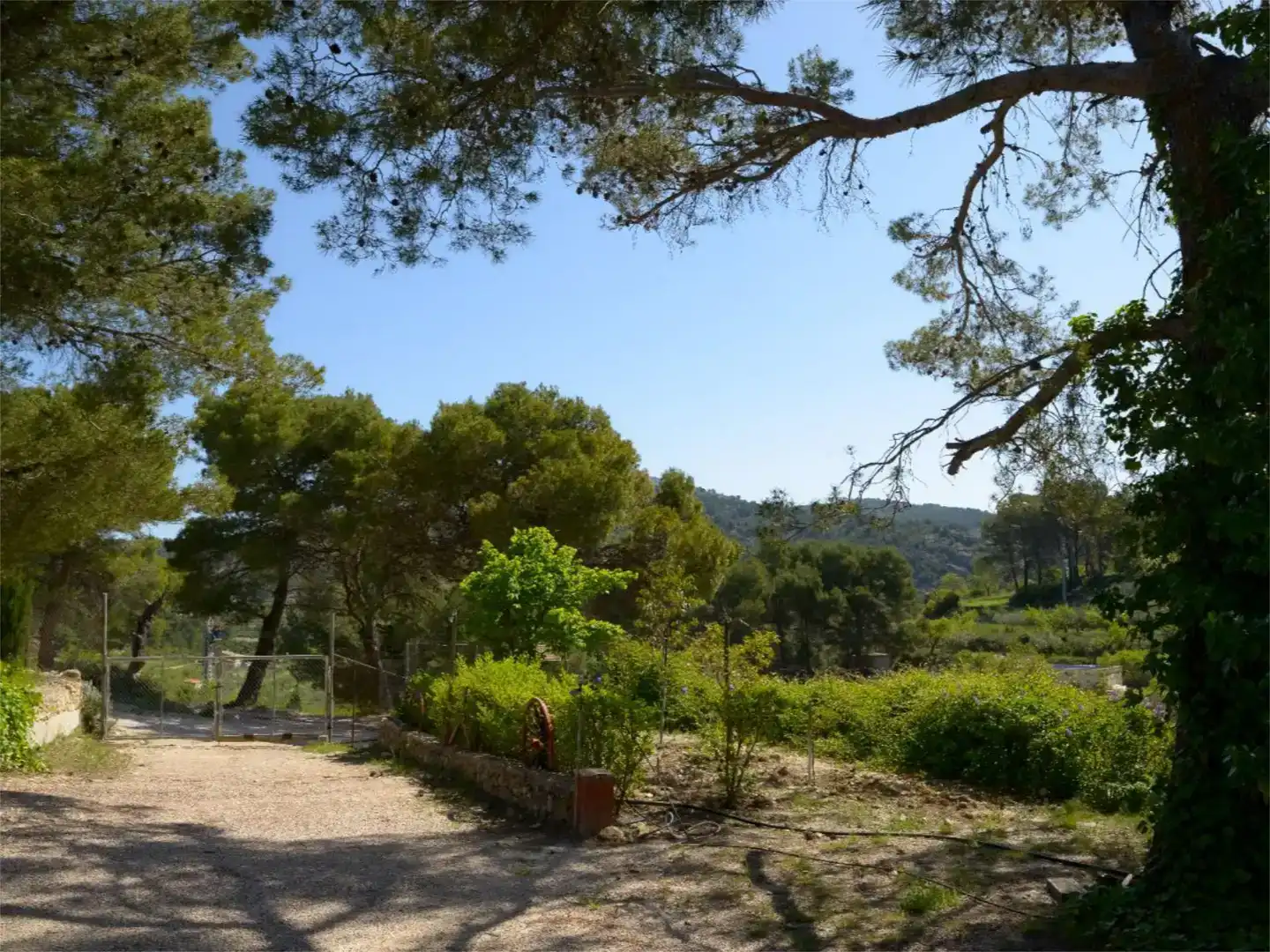 Jardín de Casa o chalet en venta en Ibi con Piscina