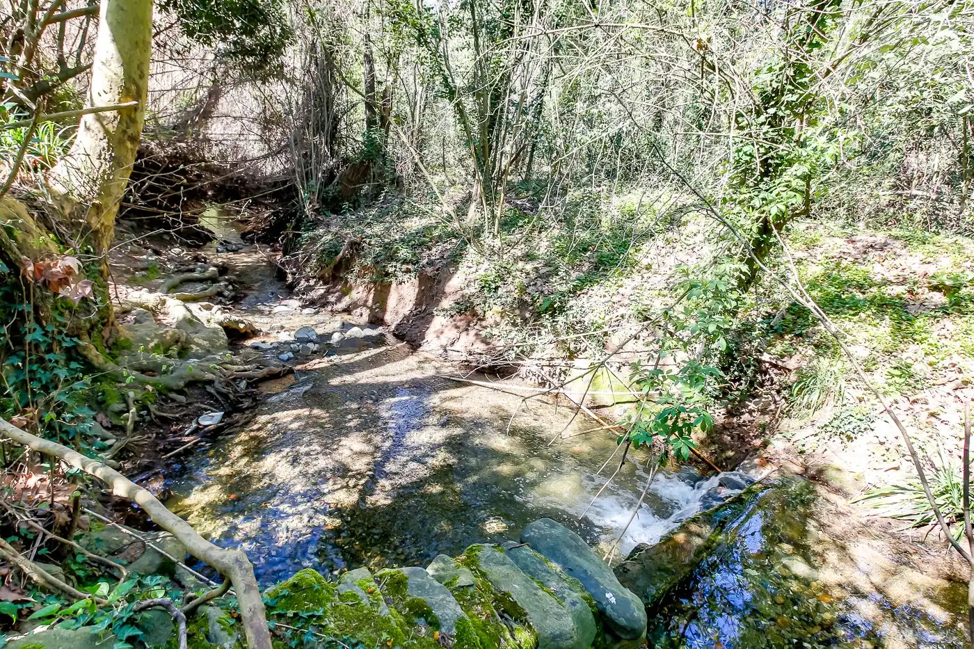 Finca rústica en venta en Sant Antoni de Vilamajor