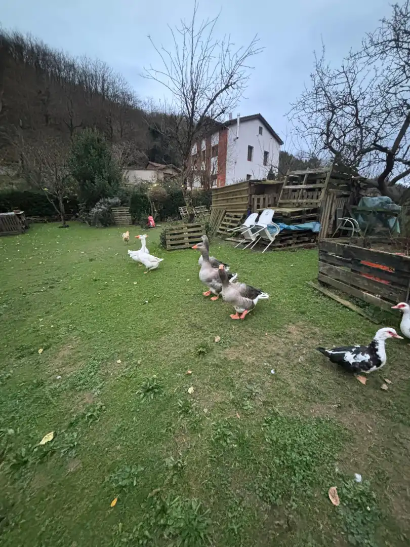 Garden of Flat for sale in Langreo  with Private garden, Storage room and Furnished