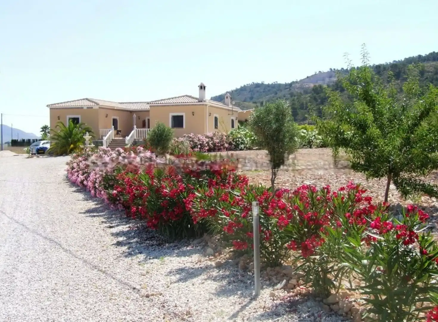 Villa in vendita a Abanilla