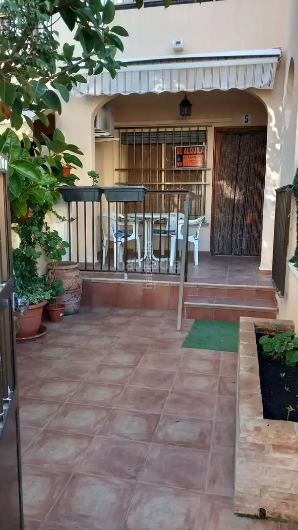 Casa de lloguer a Carrer Dolores Viudes Blasco 24