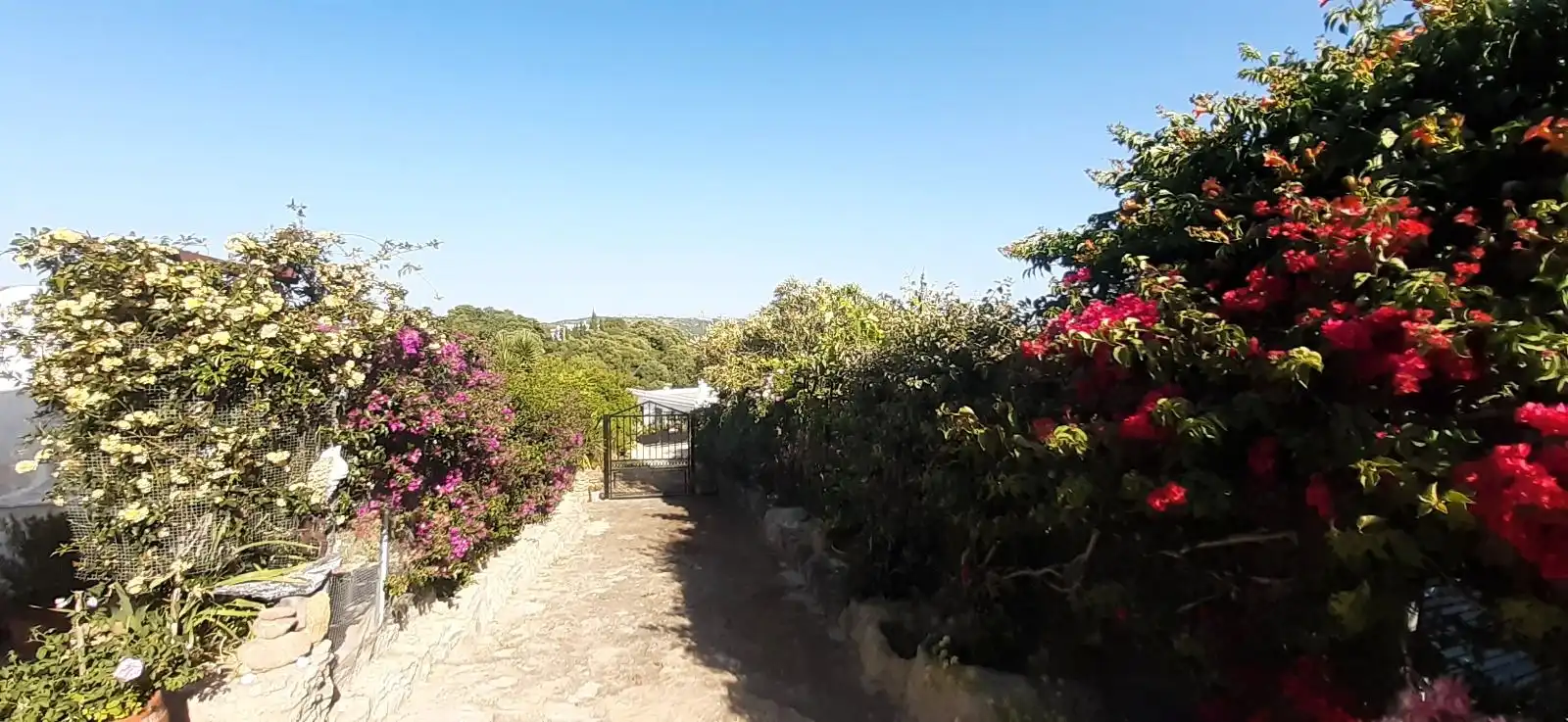 House with garden for sale in Camino Real, imagen 4