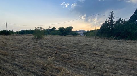 Finca rústica en Almoster , immagine 5