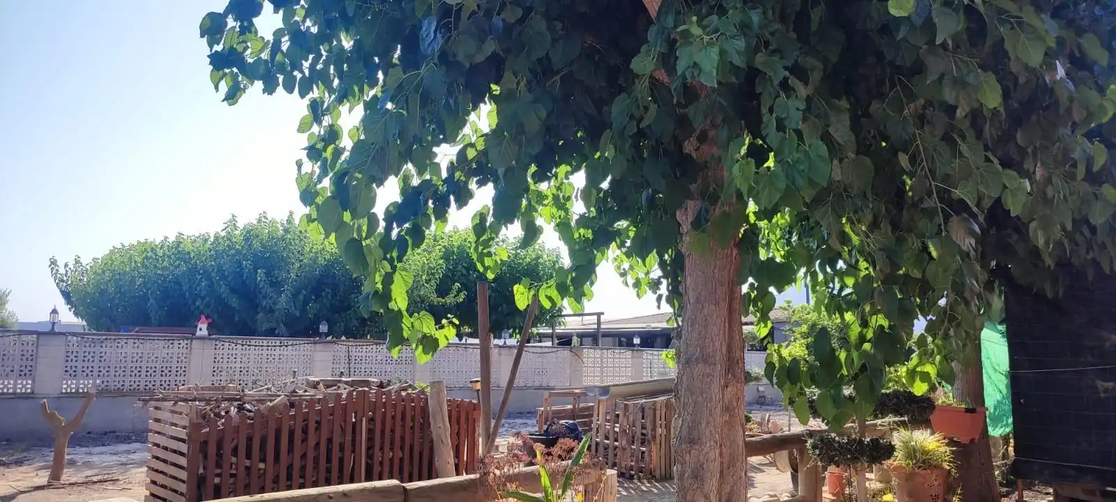 Jardí de Casa o xalet en venda en Orihuela amb Aire condicionat, Calefacció i Jardí privat