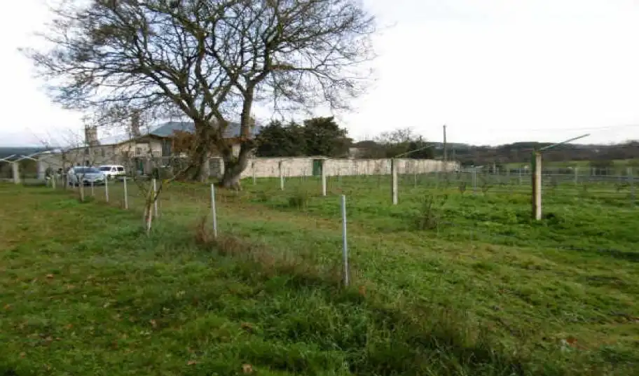 Casa o xalet en venda en O Páramo  amb Jardí privat
