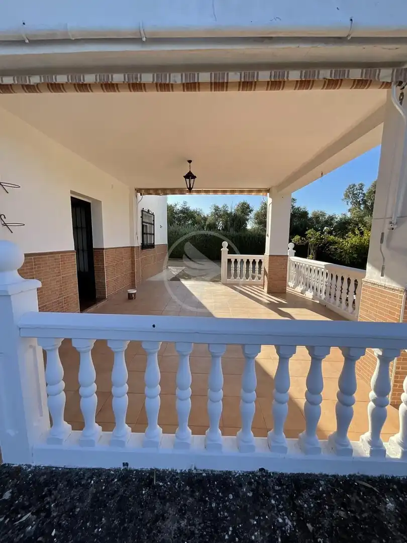 Terraza de Finca rústica en venta en Linares con Piscina